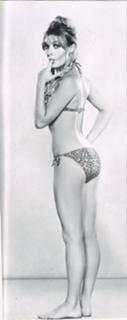 Sharon Tate feet photo thumbnail