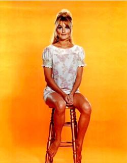Sharon Tate feet photo thumbnail