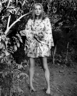 Sharon Tate feet photo thumbnail