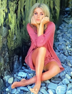 Sharon Tate feet photo thumbnail