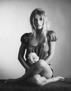 Sharon Tate feet photo thumbnail