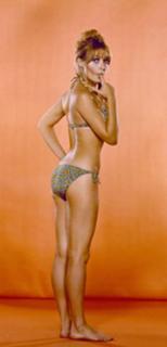 Sharon Tate feet photo thumbnail