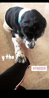 Sharvari Wagh feet photo thumbnail