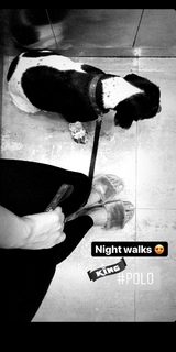 Sharvari Wagh feet photo thumbnail