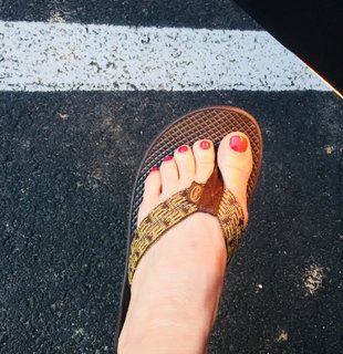 Sharyl Attkisson feet photo 19