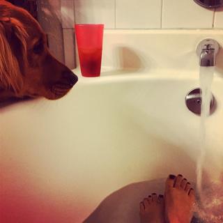 Shawn Johnson feet photo thumbnail