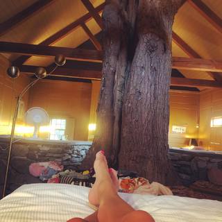Shawn Killinger feet photo thumbnail