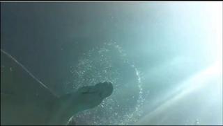 Shawna Howson feet photo 5