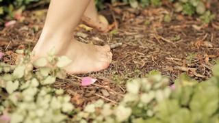 Shawna Howson feet photo 4