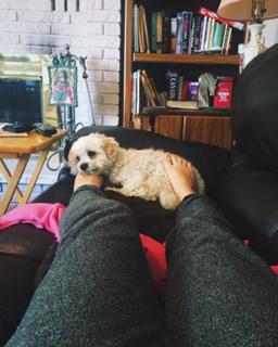 Shawna Howson feet photo 8