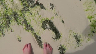 Shawna Howson feet photo 9