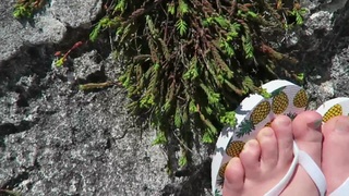 Shawna Howson feet photo 13