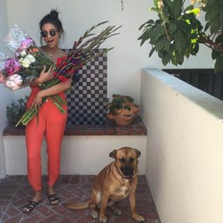 Shay Mitchell feet photo thumbnail