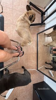 Shay Mitchell feet photo 14