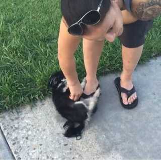 Shayna Andrea Baszler feet photo 14