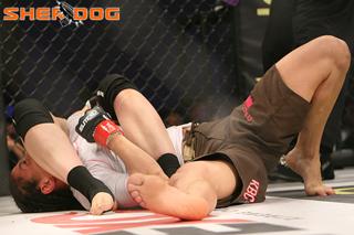 Shayna Andrea Baszler feet photo 17