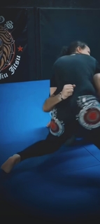 Shayna Andrea Baszler feet photo 8