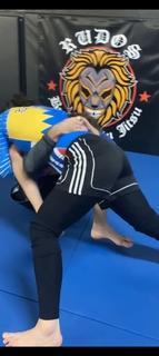 Shayna Andrea Baszler feet photo 14