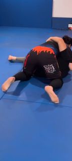 Shayna Andrea Baszler feet photo 10