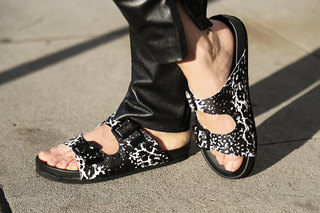 Shea Marie feet photo 8