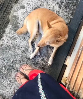 Sheelu Abraham feet photo 19