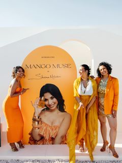 Sheena Melwani feet photo 2