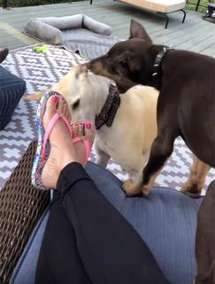 Sheena Parveen feet photo 20