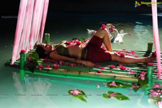 Sheena Shahabadi feet photo 6