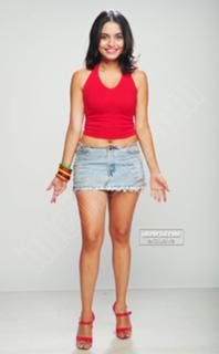 Sheena Shahabadi feet photo 17