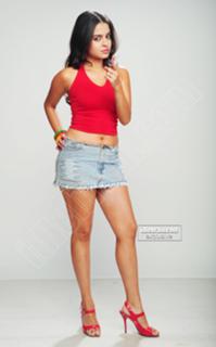 Sheena Shahabadi feet photo 16