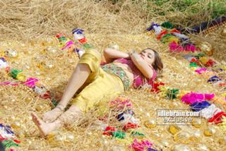 Sheena Shahabadi feet photo 9