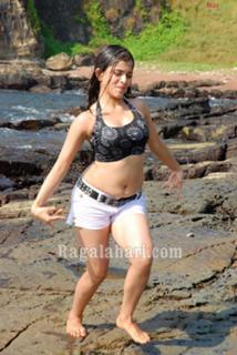 Sheena Shahabadi feet photo 15