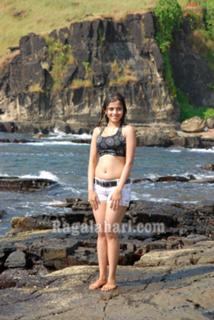 Sheena Shahabadi feet photo 8