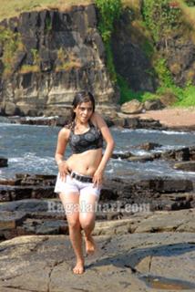 Sheena Shahabadi feet photo 20