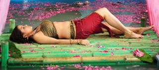 Sheena Shahabadi feet photo 7