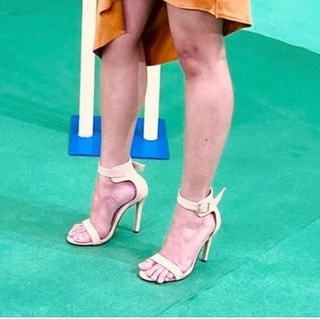 Shefali Bagga feet photo 15