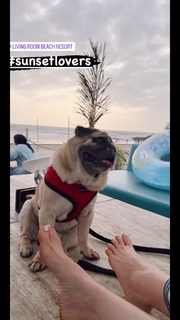 Shefali Zariwala feet photo thumbnail