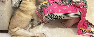 Shefali Zariwala feet photo thumbnail