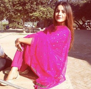 Shehnaaz Gill feet photo 13