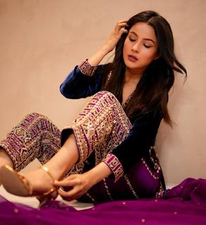 Shehnaaz Gill feet photo 3