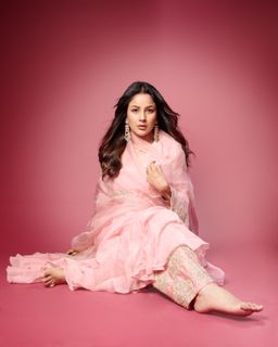 Shehnaaz Gill feet photo 9