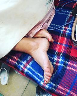 Sheila Capriolo feet photo thumbnail