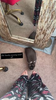 Shelby Simmons feet photo 10