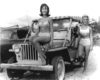 Shelley Fabares feet photo 12