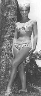 Shelley Fabares feet photo 11