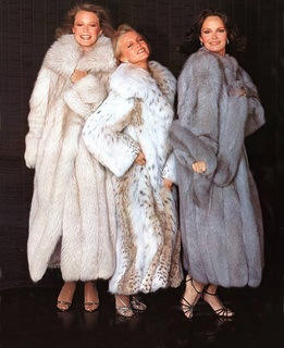 Shelley Hack feet photo 17