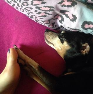 Shelly Martinez feet photo 6