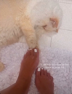 Sheneka Adams feet photo 16