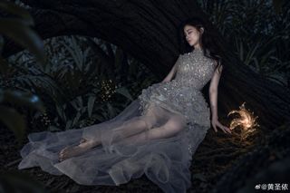 Shengyi Huang feet photo 6