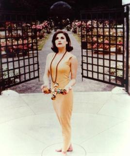 Sherilyn Fenn feet photo thumbnail